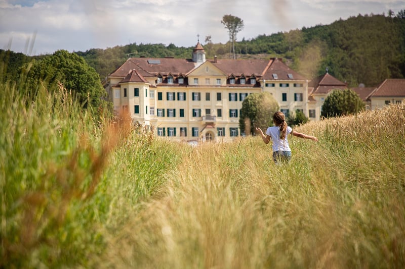 The Biltmore Estate